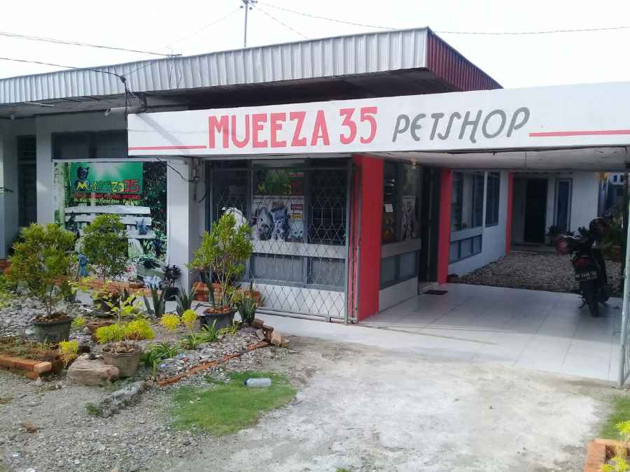 Mueeza 35 Petshop Padang